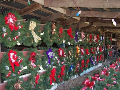 Grady Christmas Tree Farm