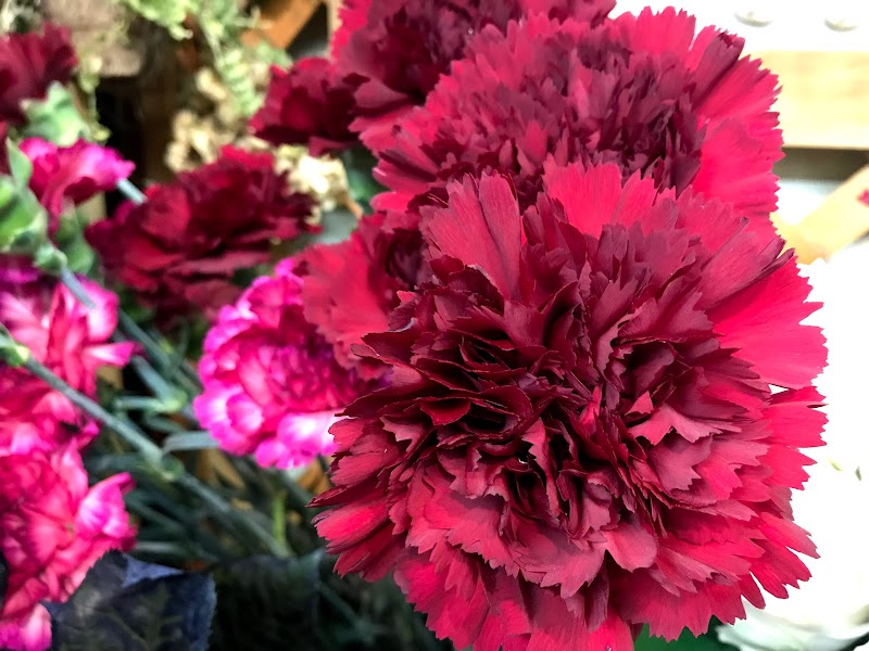 フラワーショップ九條 刈谷店 愛知県刈谷市相生町 花屋 グルコミ