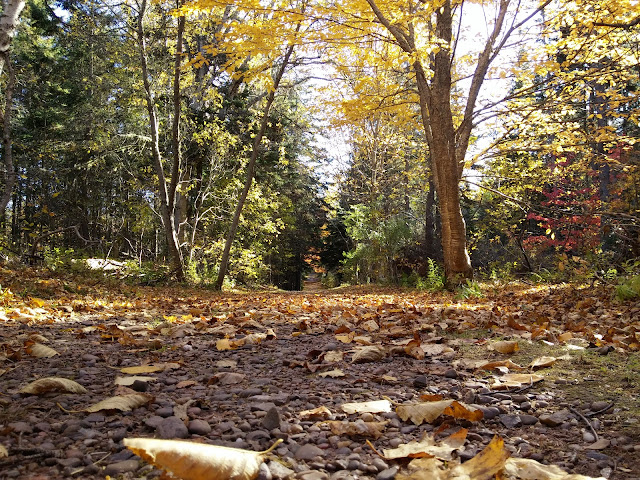 Farmlands and Bubbling Springs Trails, Prince Edward Island National Park