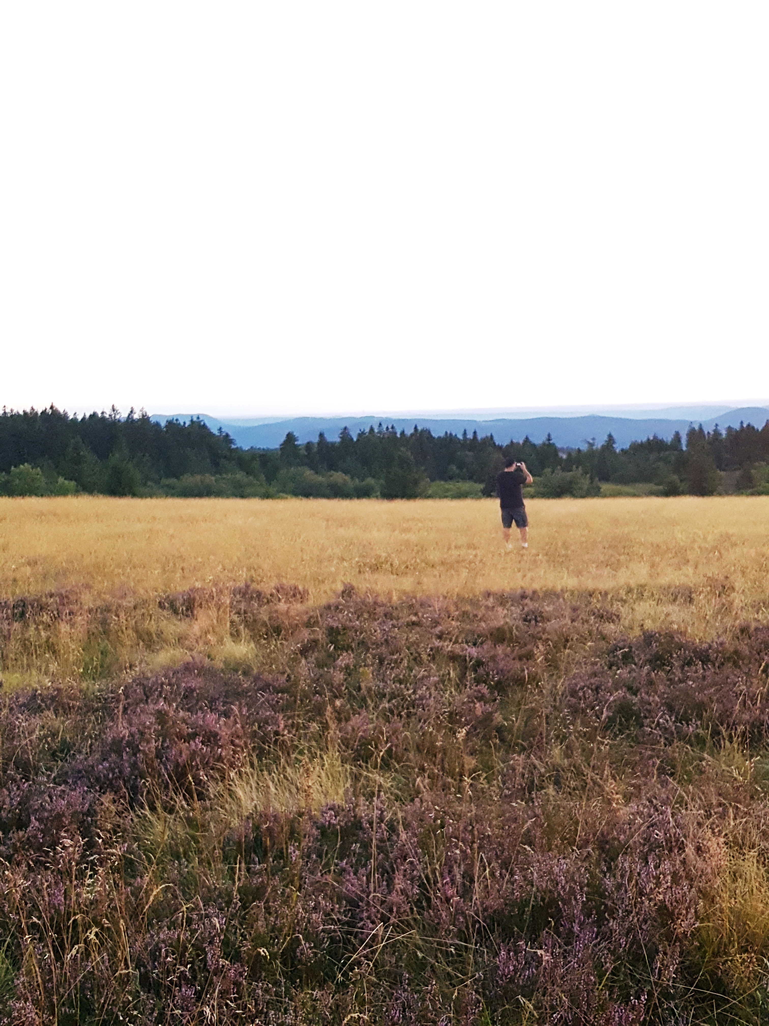 Photo n° 3 de l'avis de 67160Quentin. fait le 09/10/2018 à 22:43