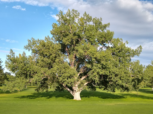 Golf Course «Kennedy Golf Course», reviews and photos, 10500 E Hampden Ave, Denver, CO 80014, USA