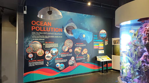 Print Shop «AlphaGraphics San Francisco Downtown», reviews and photos, 840 Sansome St, San Francisco, CA 94111, USA