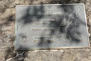 Appalachian Trail Southern Terminus image