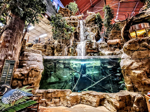 Sporting Goods Store «Bass Pro Shops», reviews and photos, 6425 Daniel Burnham Dr, Portage, IN 46368, USA