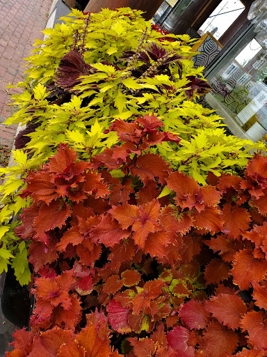 Shopping Mall «Tannery Shopping Center», reviews and photos, 50 Water St, Newburyport, MA 01950, USA