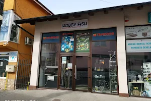 Hobby fish image