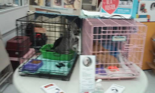 Pet Supply Store «Petco Animal Supplies», reviews and photos, 1220 Commons Cir, Plover, WI 54467, USA