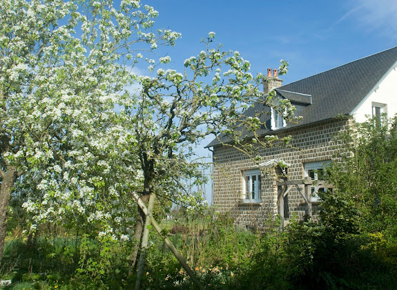 Photo Chambre d'hôtes Organic Bed and Breakfast 50640 La Neslière