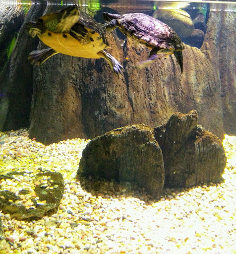 Amusement Center «OdySea in the Desert», reviews and photos, 9500 East Vía de Ventura, Scottsdale, AZ 85256, USA