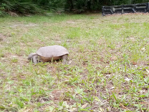 Park «Stephen J. Wortham Park», reviews and photos, 12108 Rhodine Rd, Riverview, FL 33579, USA