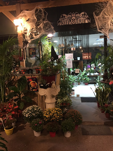 Comentarii opinii despre Green Corner (Ανθοπωλείο-Φυτώριο)