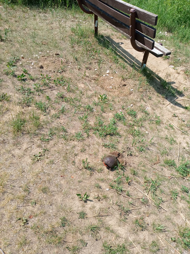 Nature Preserve «Volo Bog», reviews and photos, 28478 W Brandenburg Rd, Ingleside, IL 60041, USA