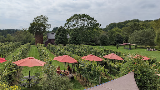 Winery «Pearmund Cellars», reviews and photos, 6190 Georgetown Rd, Broad Run, VA 20137, USA