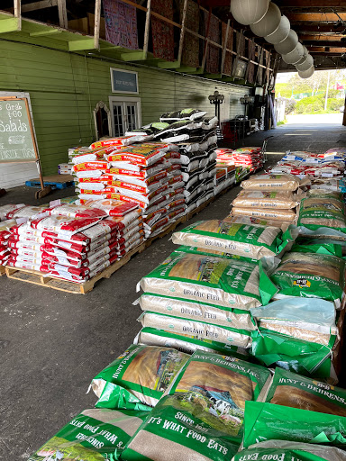 Grocery Store «Palace Market», reviews and photos, 11300 CA-1, Point Reyes Station, CA 94956, USA