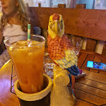 Photo n° 1 de l'avis de Elloodie. fait le 08/08/2022 à 05:47 pour Le Bayou à Le Lavandou