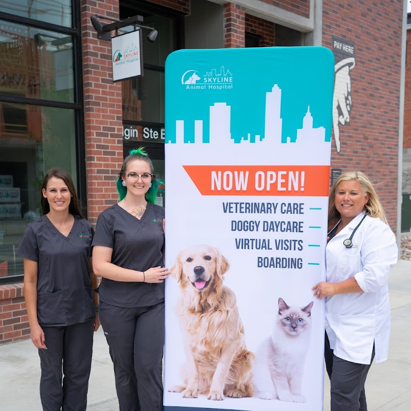 Skyline Animal Hospital