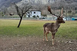 Percorso Vita Mendrisio image