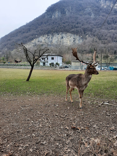 Vitaparcours Mendrisio