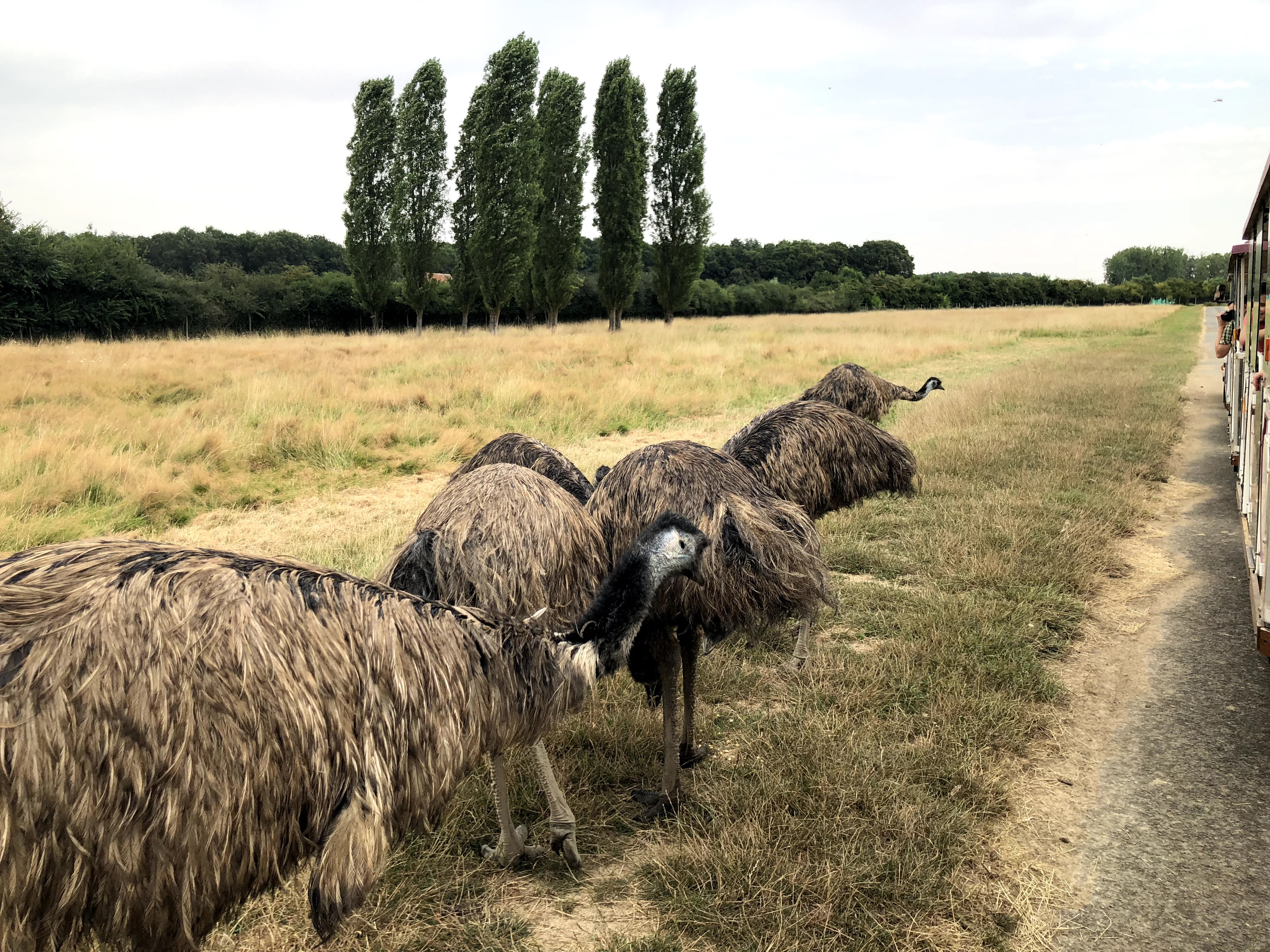 Photo n° 3 de l'avis de Julien.o fait le 27/07/2018 à 17:41