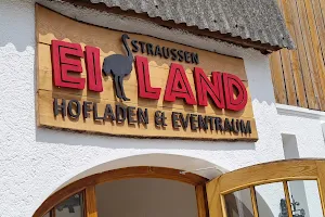 Straussen Eiland (Straussenfarm Donaumoos) image