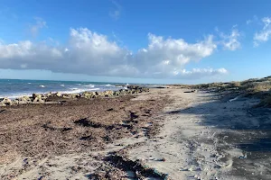 Spiaggia de "Le Cesine" image
