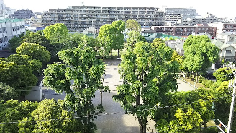 足立区立若松公園