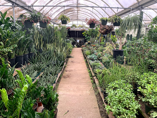 Big Greenhouse