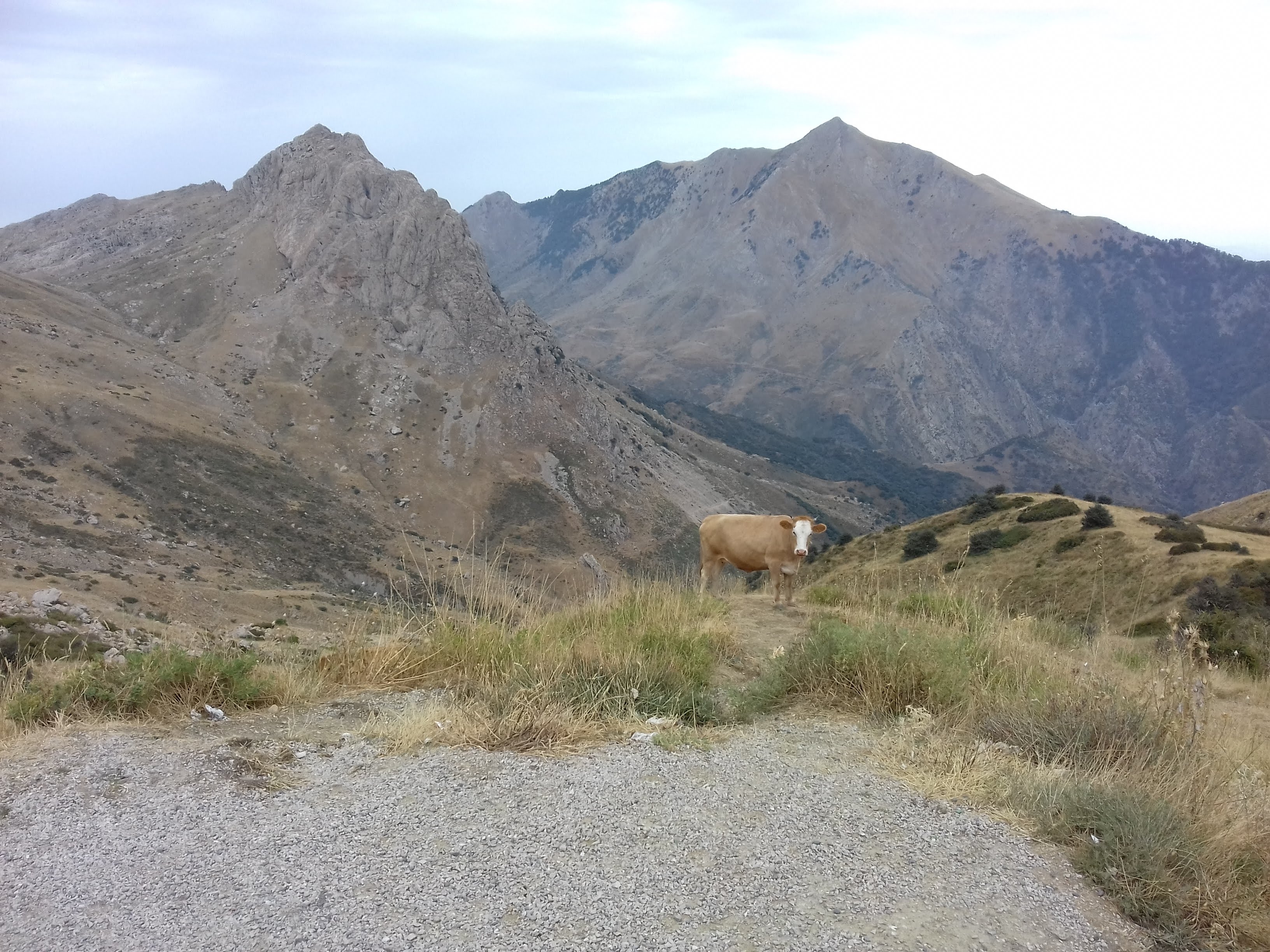 Photo n° 1 de l'avis de Kamel.a fait le 05/04/2019 à 17:42