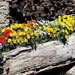 Photo n°2 de l'avis de Petra.i fait le 25/06/2022 à 14:36 sur le  Gasthaus Tomanegger à Jenesien