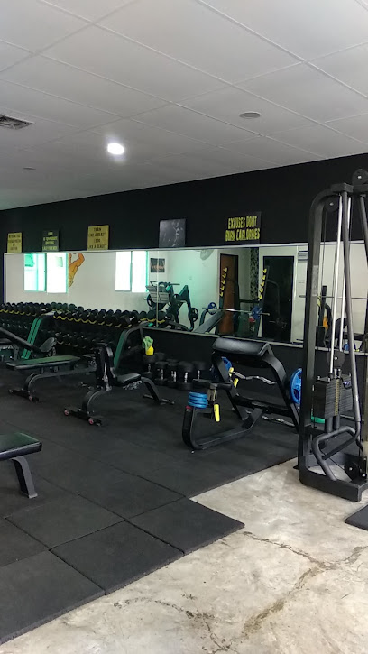 The Beast Fitness Zone