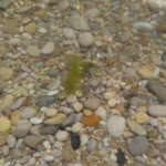 Photo n°11 de l'avis de Maria.r fait le 05/07/2018 à 09:33 sur le  Hotel Ristorante Rivamare à Marina di Massignano