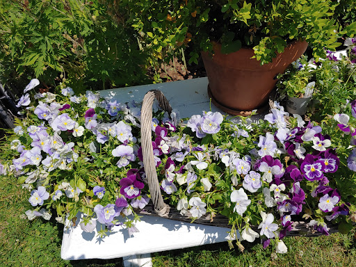 Orchard «Hurd Orchards», reviews and photos, 17260 W Ridge Rd, Holley, NY 14470, USA