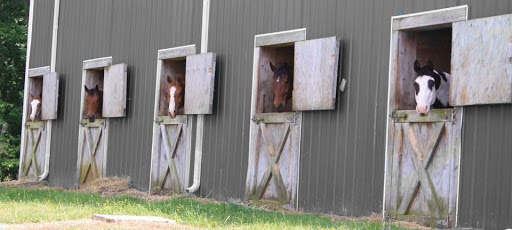 Triangle Equine Veterinary Services veterinary clinic