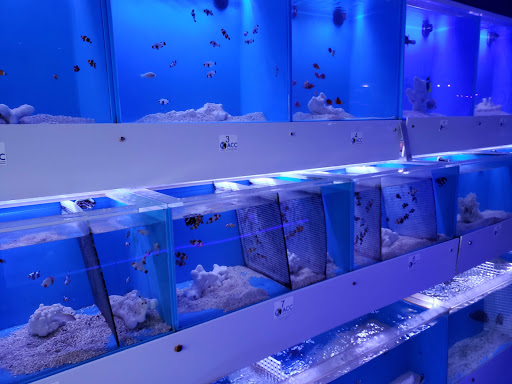 Tropical Fish Store «Aquarium Care Center», reviews and photos, 1105 NJ-35, Ocean Township, NJ 07712, USA