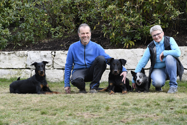 Rezensionen über Animalcoach.ch in Zürich - Hundeschule