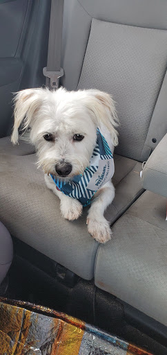 Pet Supply Store «PetSmart», reviews and photos, 139 Rolling Hills Cir, Easley, SC 29640, USA