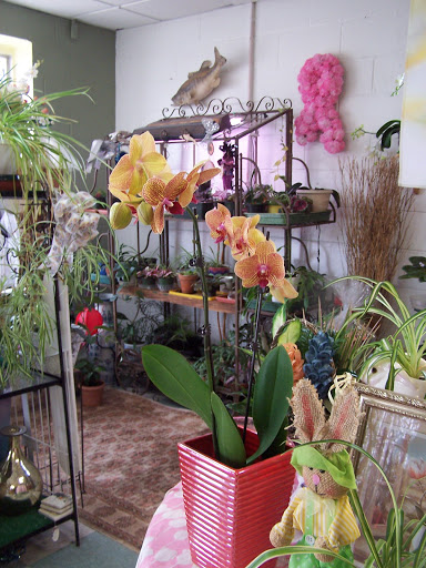 Florist «Heart To Heart Flower Shop», reviews and photos, 137 Fishing Creek Rd, Cape May, NJ 08204, USA