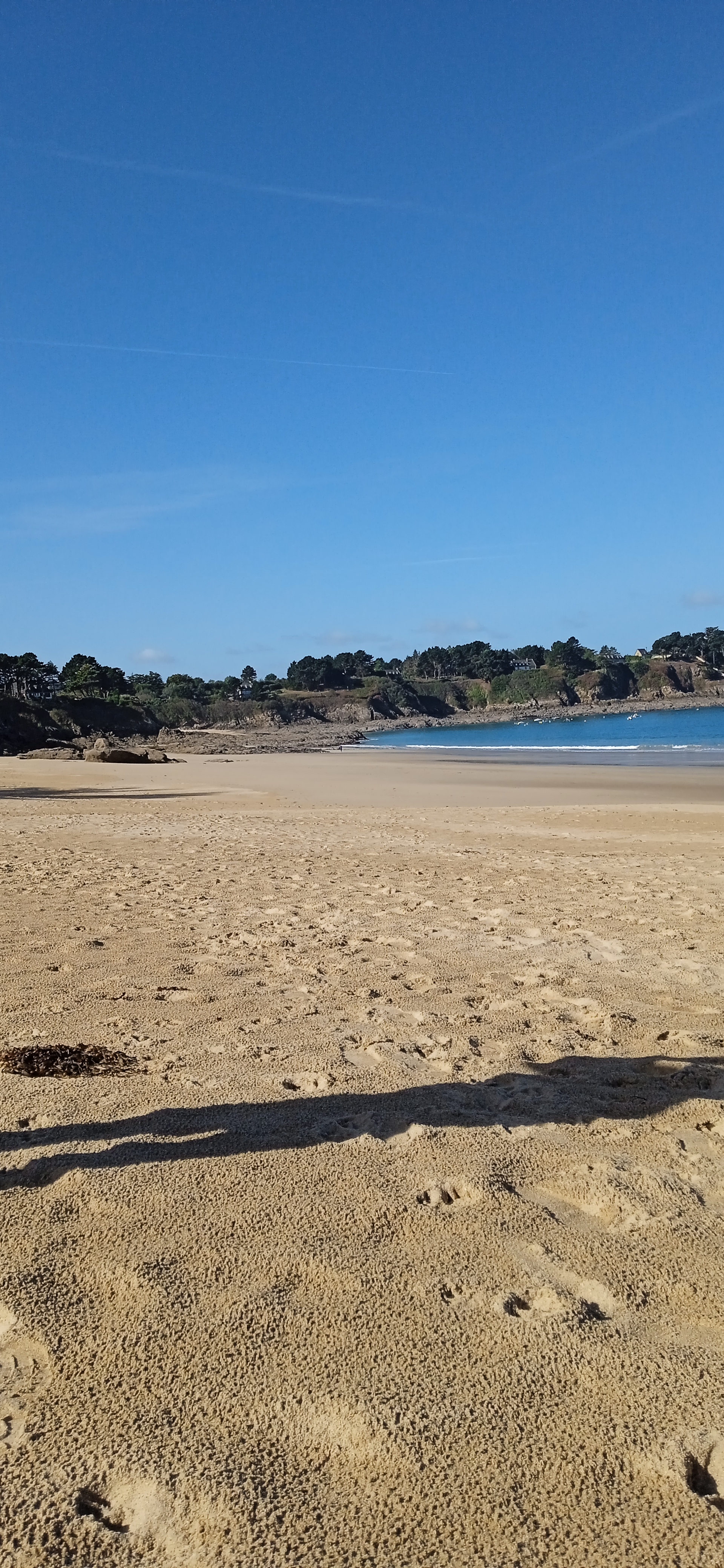 Photo n° 2 de l'avis de paul.i fait le 10/10/2022 à 09:21