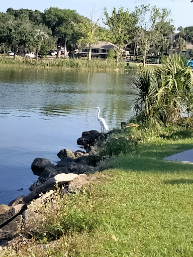Park «Gilbert Park», reviews and photos, 310 S Tremain St, Mt Dora, FL 32757, USA
