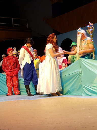 Performing Arts Theater «Schenectady Light Opera Co», reviews and photos, 427 Franklin St, Schenectady, NY 12305, USA