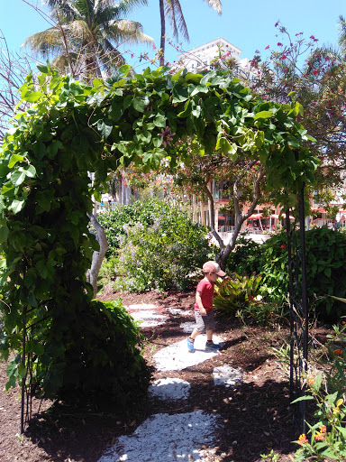 Performing Arts Theater «Broward Center for the Performing Arts», reviews and photos, 201 SW 5th Ave, Fort Lauderdale, FL 33312, USA