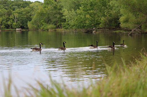 State Park «Long Hunter State Park», reviews and photos, 2910 Hobson Pike, Hermitage, TN 37076, USA
