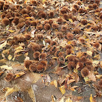 Photo n°14 de l'avis de Luca.o fait le 01/11/2021 à 14:17 sur le  Ranch San Guglielmo à Castelbuono