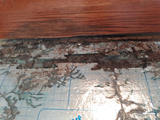Termite damage repair specialty 6811 North Woodlawn , Kechi Kansas 67067