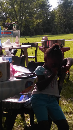 Park «Balduck Park», reviews and photos, 5271 Canyon St, Detroit, MI 48236, USA