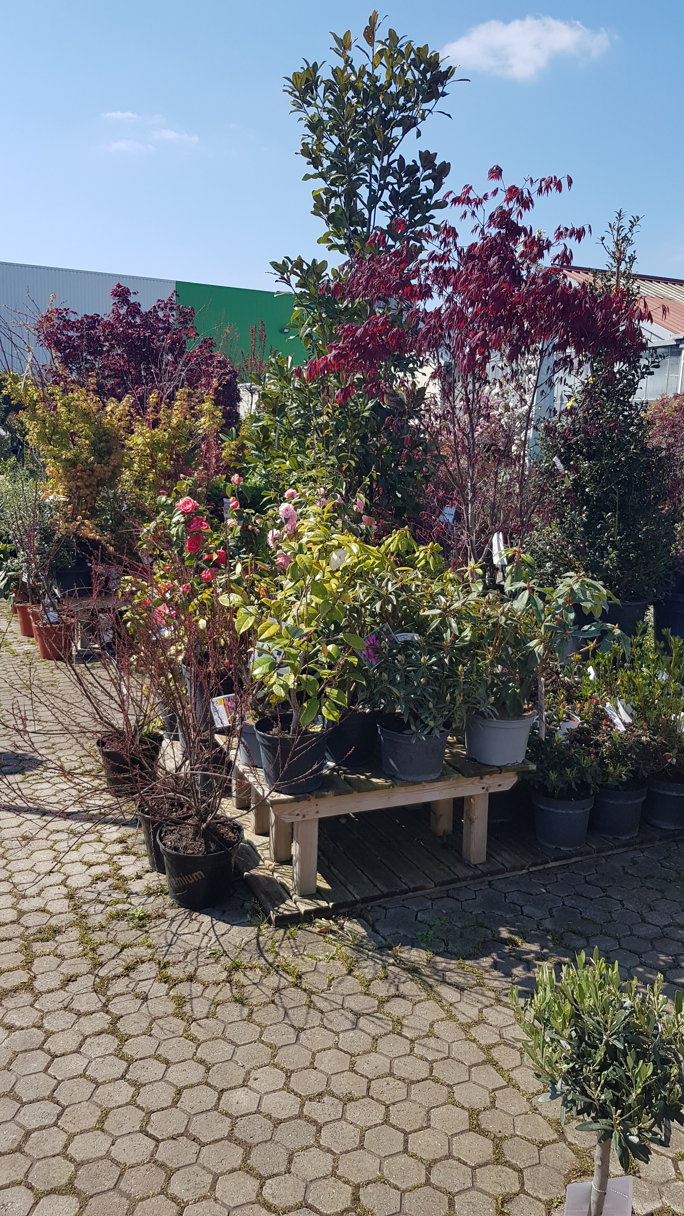Photo n° 3 de l'avis de Stephane.h fait le 13/04/2019 à 13:58