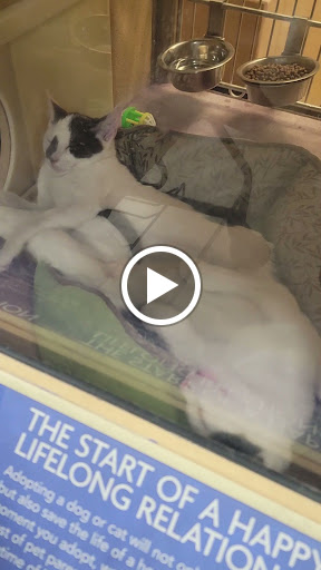 Pet Supply Store «Petco Animal Supplies», reviews and photos, 551 W Hampden Ave, Englewood, CO 80110, USA