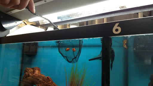 Pet Supply Store «Petco Animal Supplies», reviews and photos, 5027 Monroe St, Toledo, OH 43623, USA