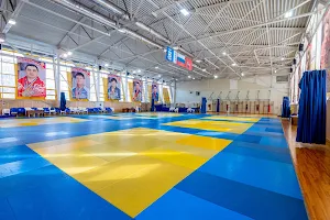 Centre of Sport and Education Sambo-70 image