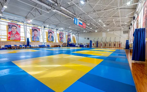 Centre of Sport and Education Sambo-70 image